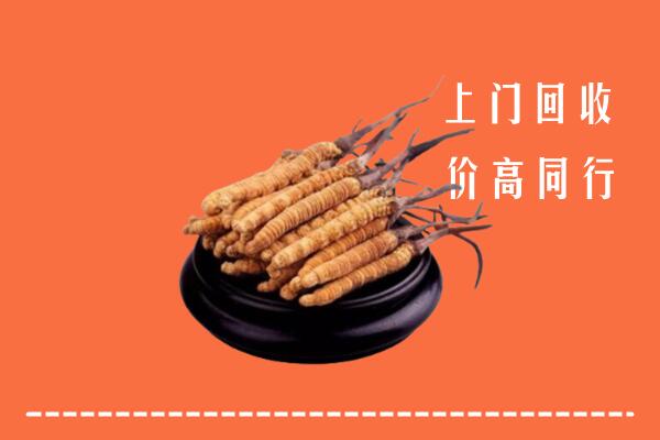 高价求购：博湖县回收散虫草