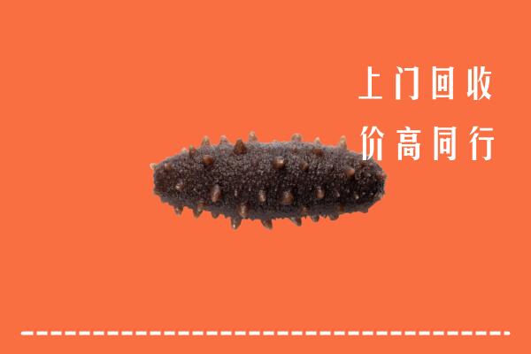 高价求购：博湖县回收海参