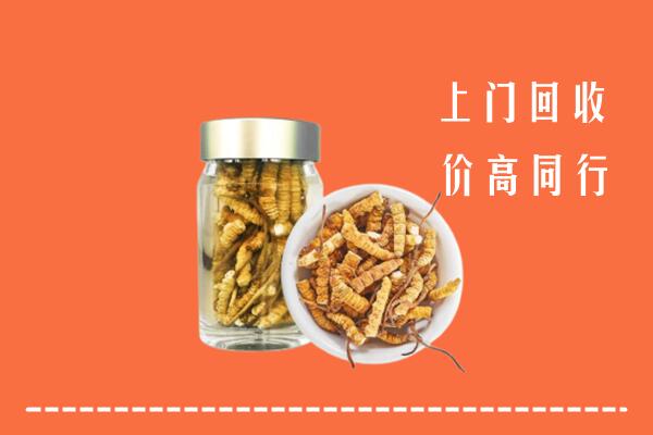 博湖县回收冬虫夏草