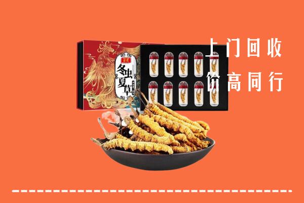博湖县回收虫草